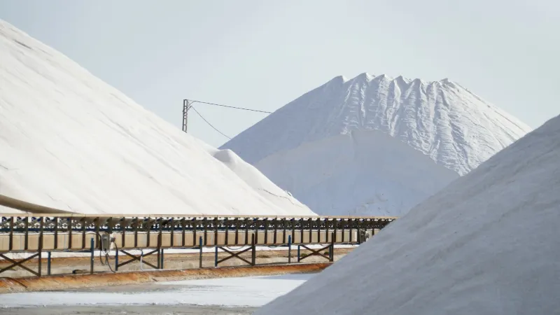 Abundance Is the Enemy: Five Millennia of Manufactured Scarcity as Business Strategy