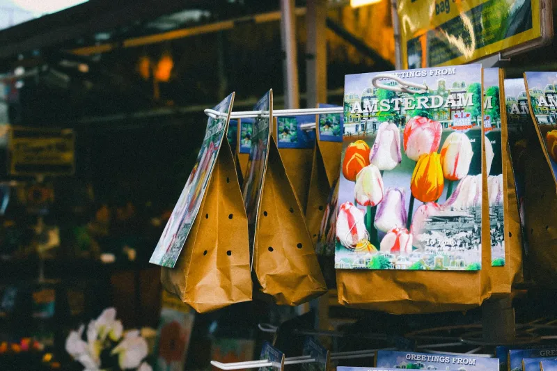 Before the Wolf of Wall Street: How Dutch Flower Dealers Created the Modern Market Manipulation Handbook